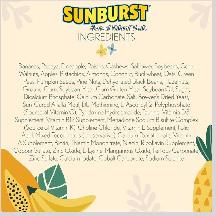 Higgins Sunburst Gourmet Treats Dried Fruits and Nuts Macaw and Conure Bird Treats