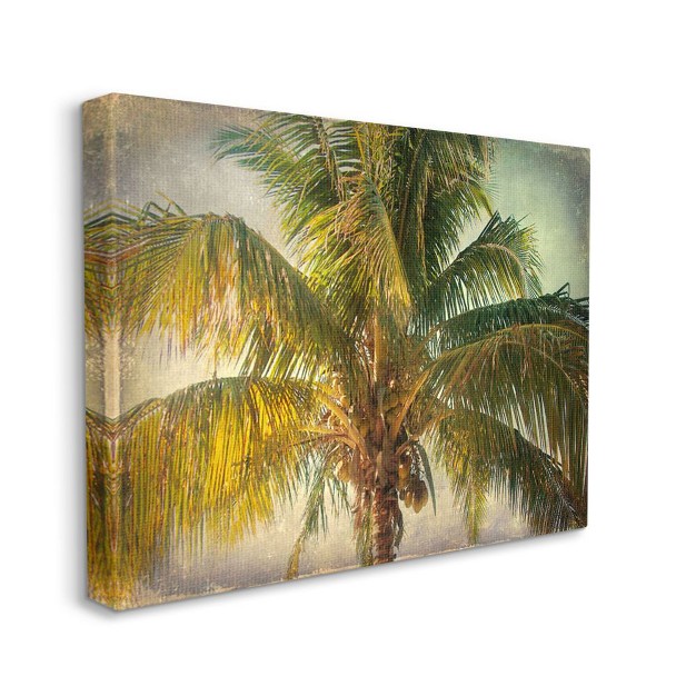 Stupell Industries Distressed Tropical Summer Palm Tree Frond Photograph