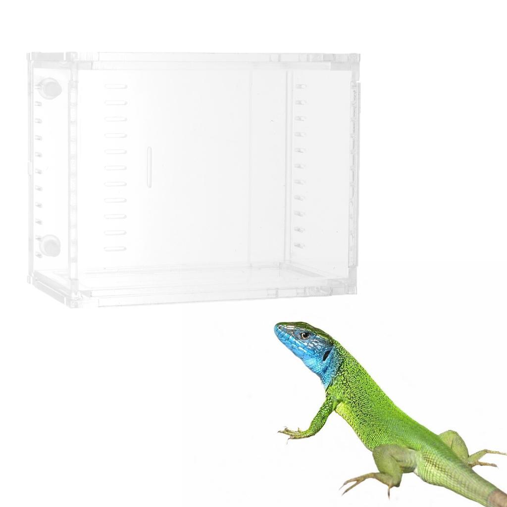 Clear Terrarium Box Reptile and Amphibian Breeding Box for Turtle