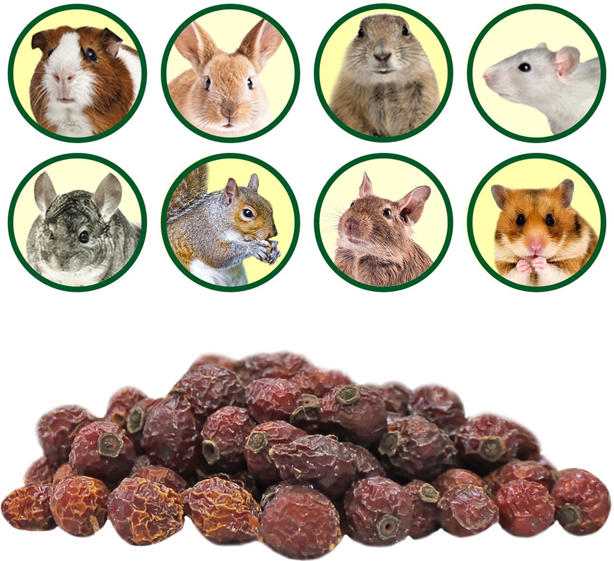 Exotic Nutrition Critter Selects Rose Hips Chinchilla Treats， 3-oz bag