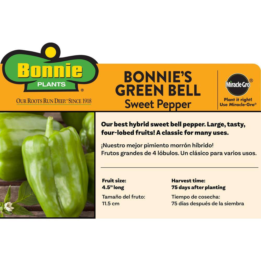 Bonnie Plants 1.19 qt. Green Bell Sweet Pepper Plant (6-Pack) 2100