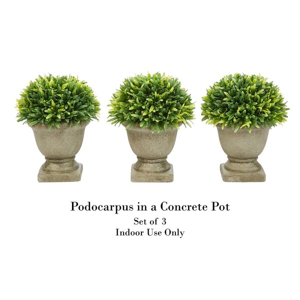 Set of 3 Artificial Podocarpus Grass Plant in Concrete Pot