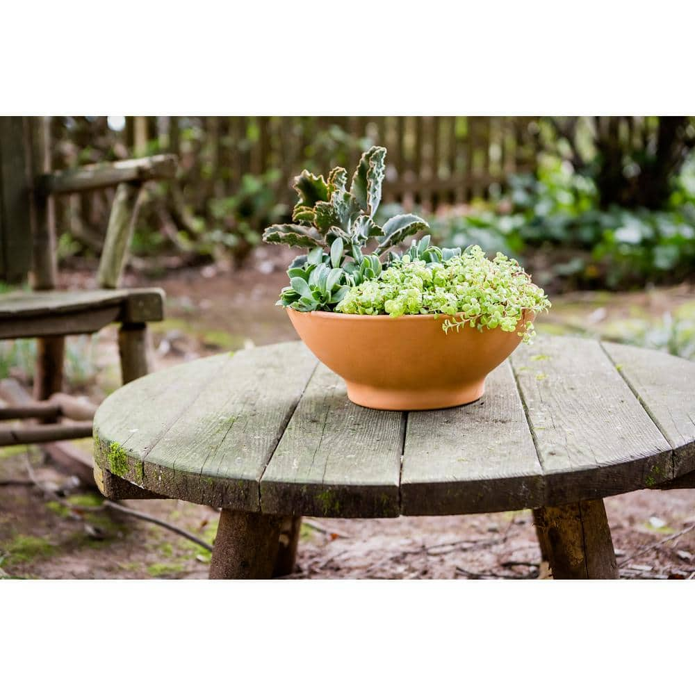 Pennington 12 in. Medium Terra Cotta Clay Dish Garden Planter 100021298