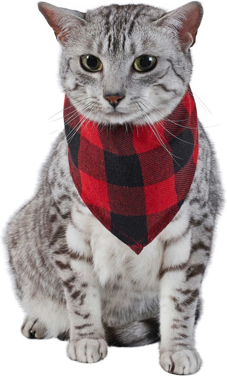 Red Buffalo Plaid Dog and Cat Bandana