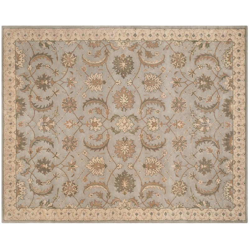 Safavieh Heritage Mainz Framed Floral Wool Rug