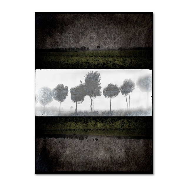 X 32 quot Black Tree 2 By Lightboxjournal Trademark Fine Art