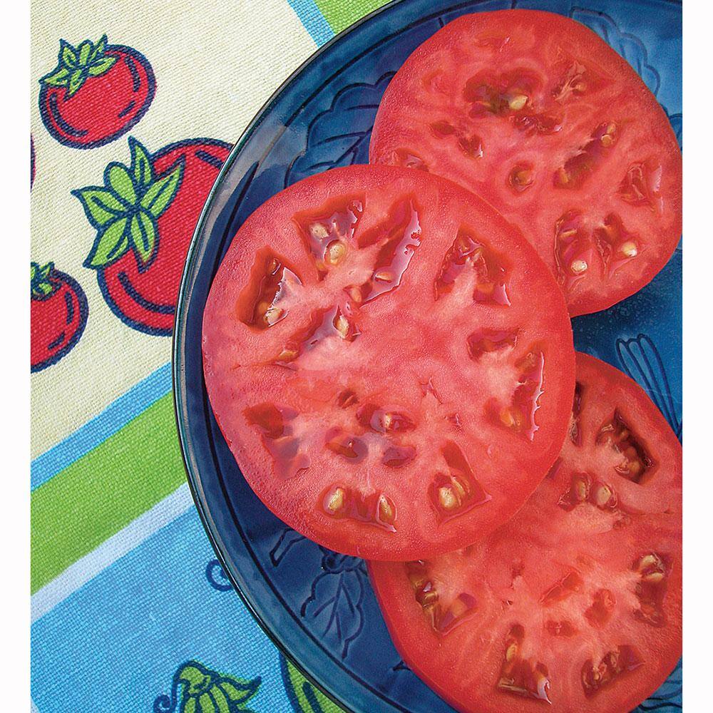 Bonnie Plants 1.19 qt. Red Beefsteak Heirloom Tomato Plant (6-Pack) 0216