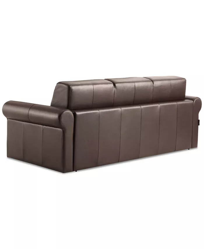 Furniture Elsher Leather Sleeper Sofa