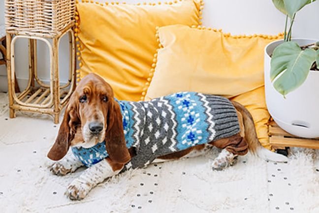 Chilly Dog Fairisle Wool Dog Sweater， Blue