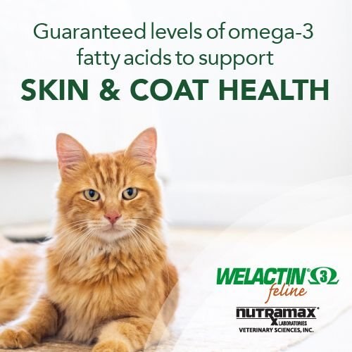 Nutramax Welactin Omega-3 Fish Oil Liquid Skin and Coat Supplement For Cats， 4-oz