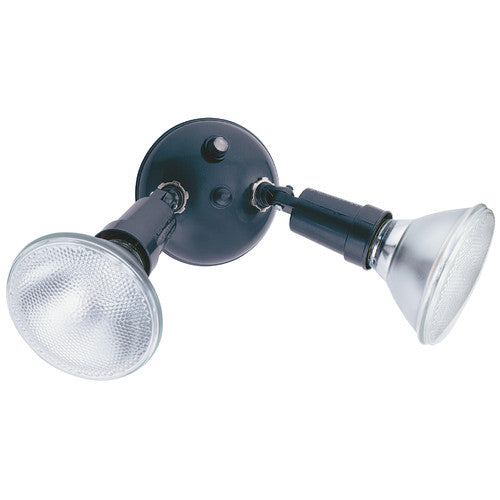 Lithonia Lighting Standard 2-Light Outdoor Spotlight