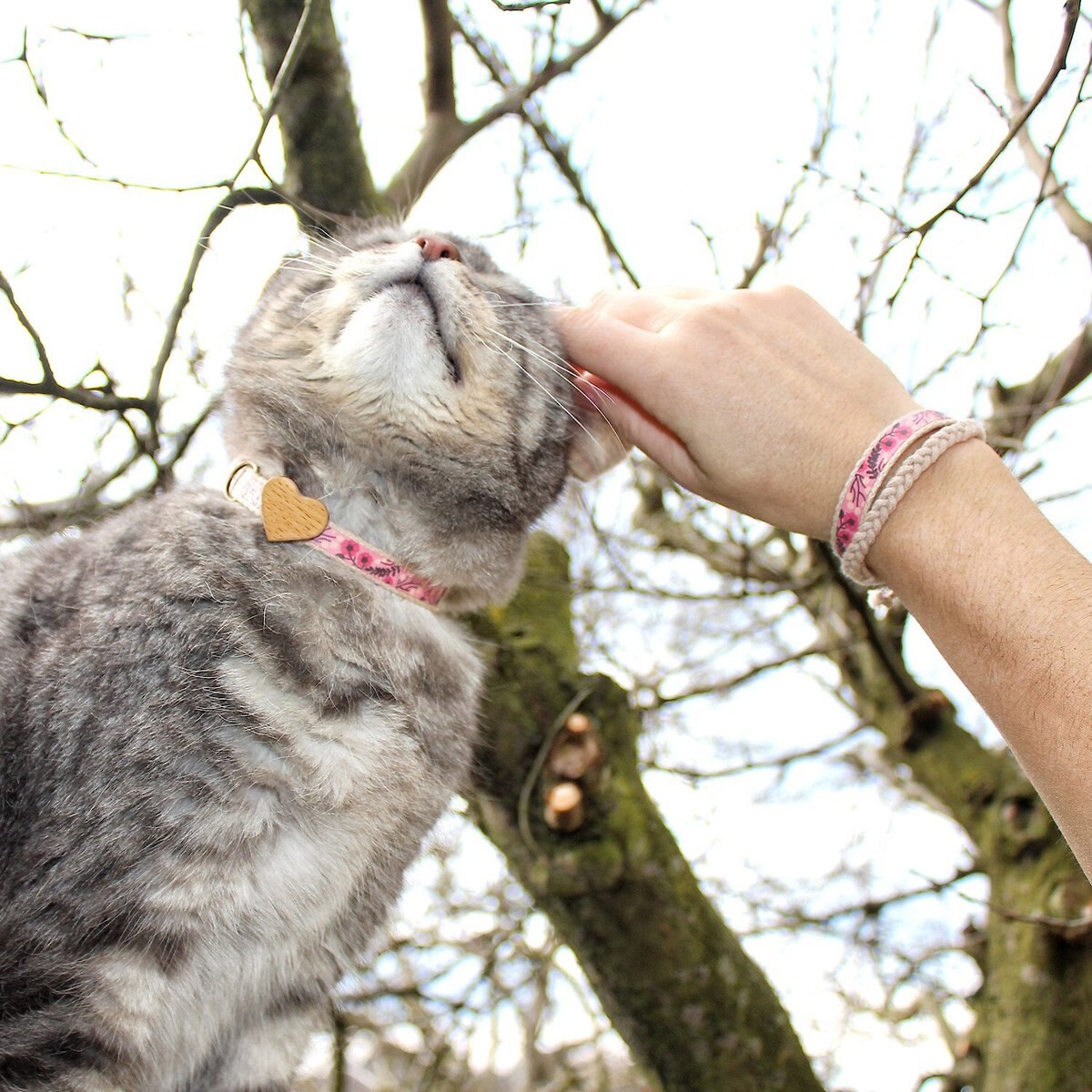 Pettsie Heart Cotton Breakaway Cat Collar with Friendship Bracelet