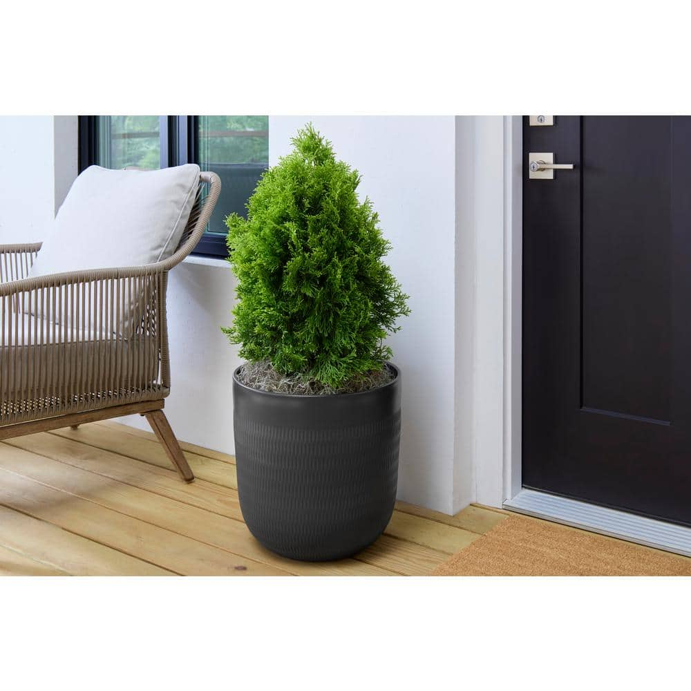 Vigoro 16 in. Delano Large Black Charcoal Plastic Planter (16 in. D x 16 in. H) HUPS00601N-16H