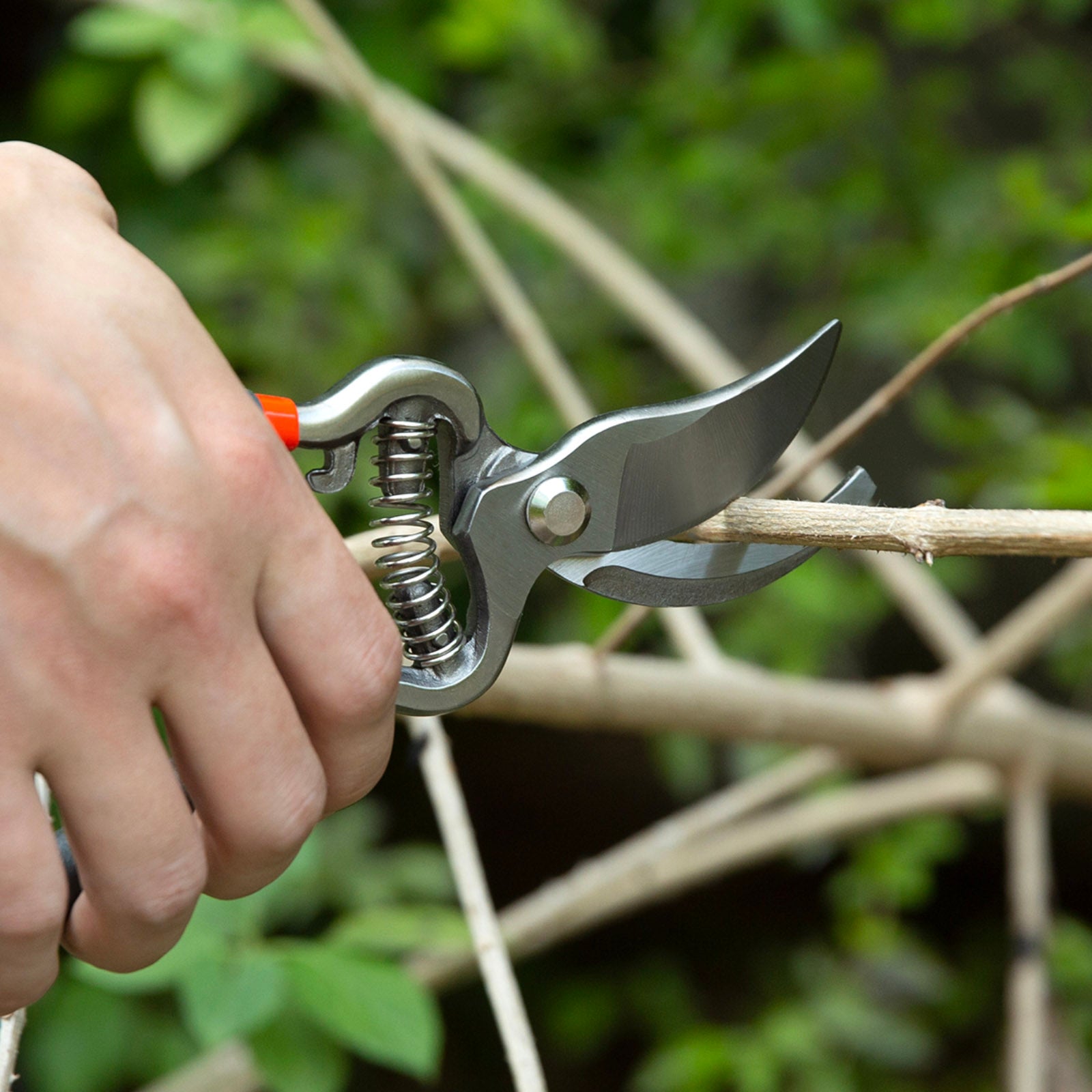 Ventool 8" Sharp Bypass Pruning Shears, Heavy-duty Hand Pruners