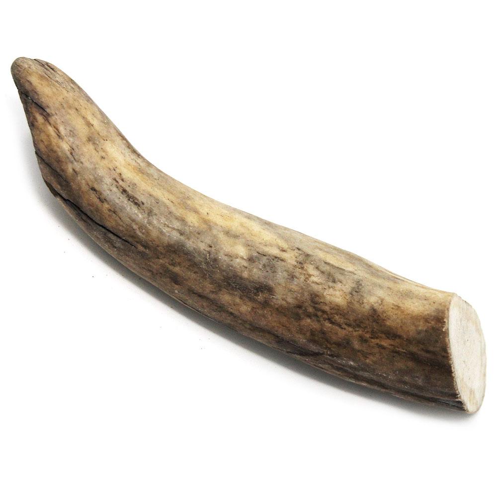 Tuesdays Natural Dog Company Moose Antler Dog Chew