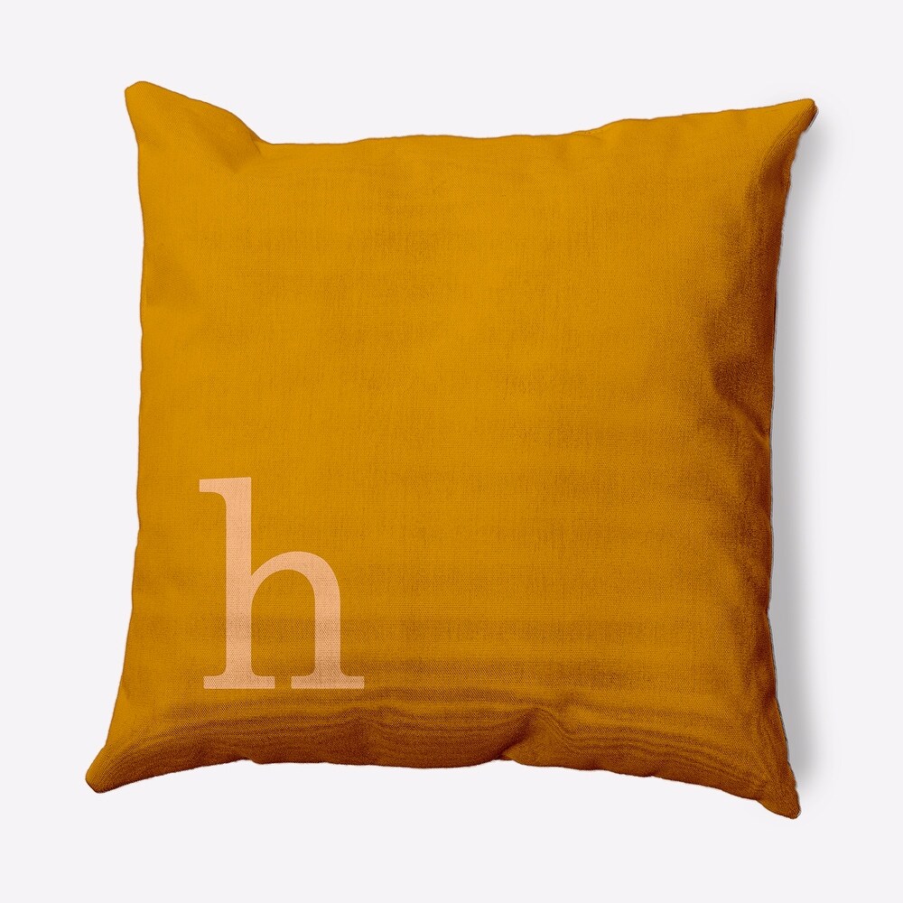 Modern Monogram Indoor/Outdoor Throw Pillow H