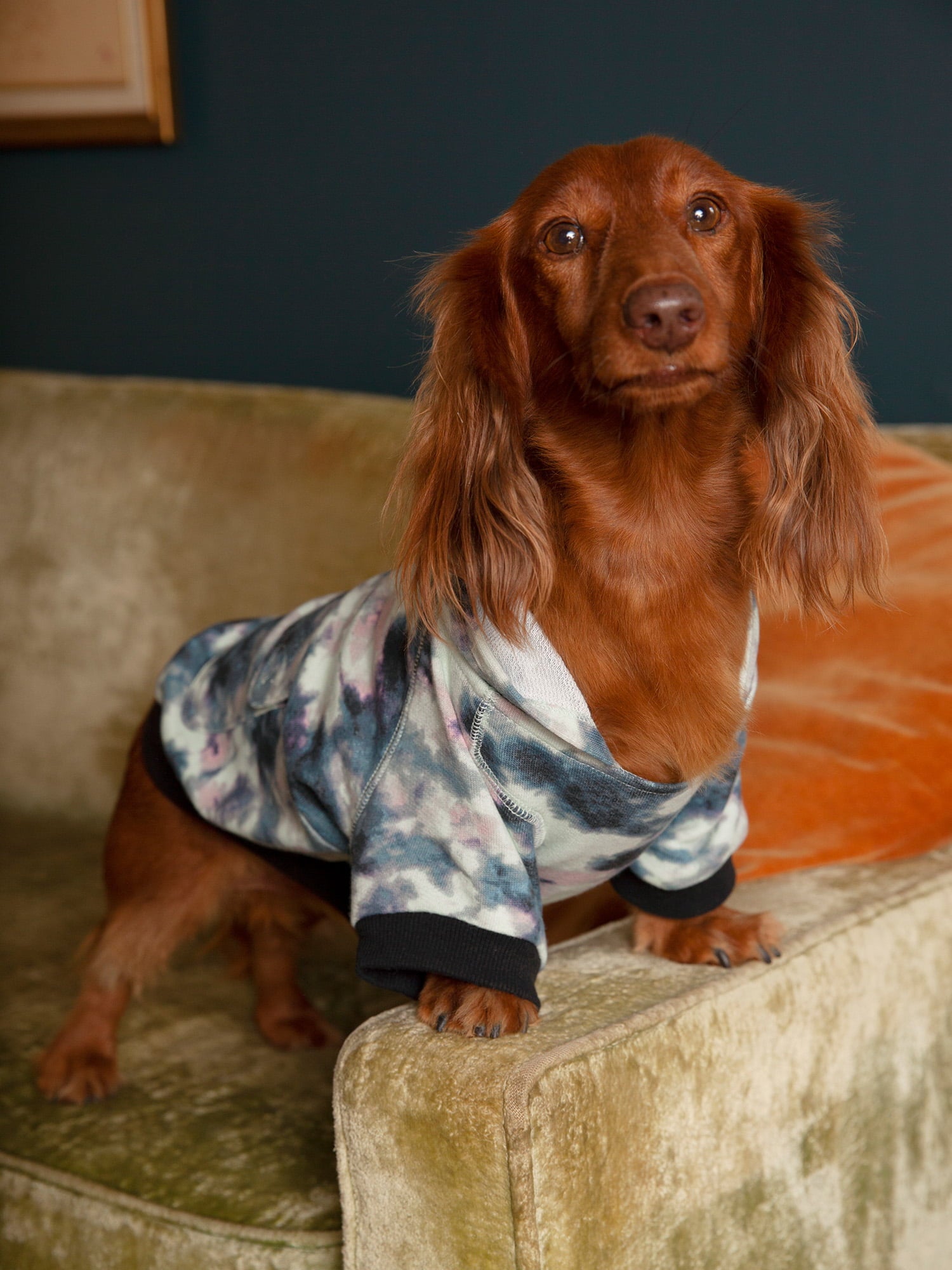 Coco + Rebel Tie-Dye Fashion Dog Hoodie