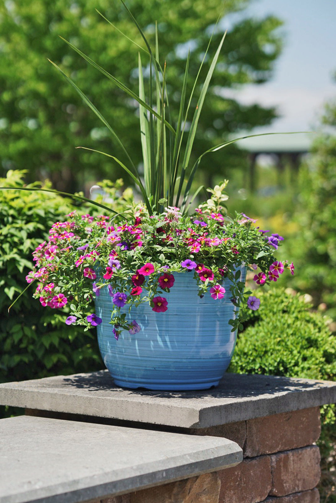 Garden Elements Glazed Brushed Happy Large Plastic Planter, Bright Blue, 15 Inch