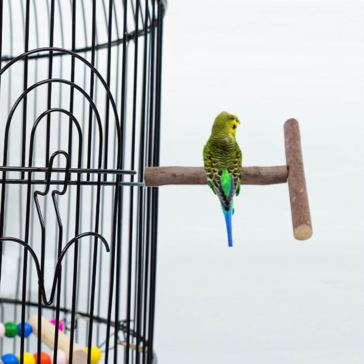 Bird Perches Bird Cage Accessories Bird Toy Suitable for Use Indoor and Outdoor Bird Stand Pole 3PCS