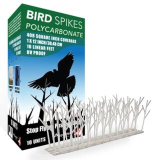 Aspectek 10 ft. Plastic Bird Spikes HR411