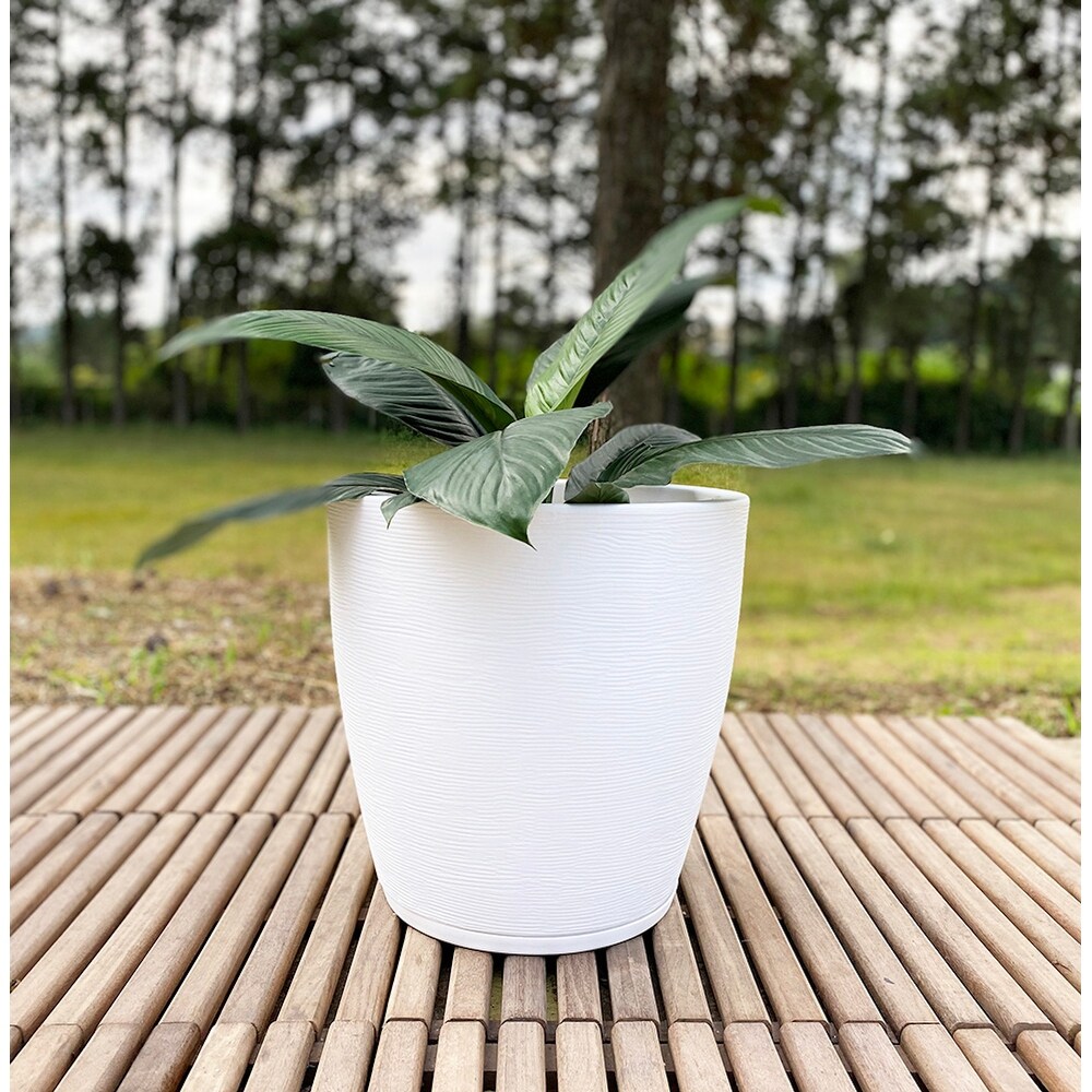 Floridis Amsterdan Large Planter Bowl