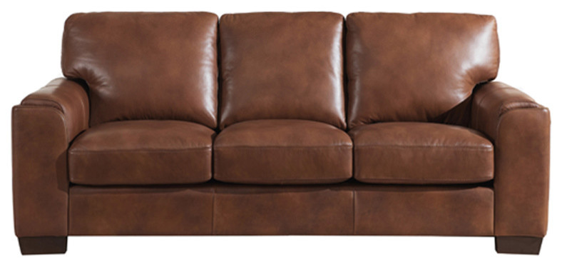 Suzanne Leather Craft Sofa   Contemporary   Sofas   by KEMP INTERNATIONAL INC  Houzz