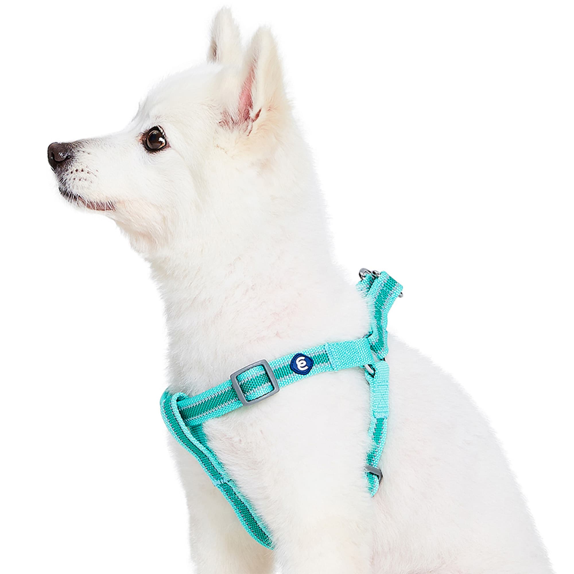 Blueberry Pet Essentials Minty Green Reflective Back to Basics Adjustable Dog Harness， Medium