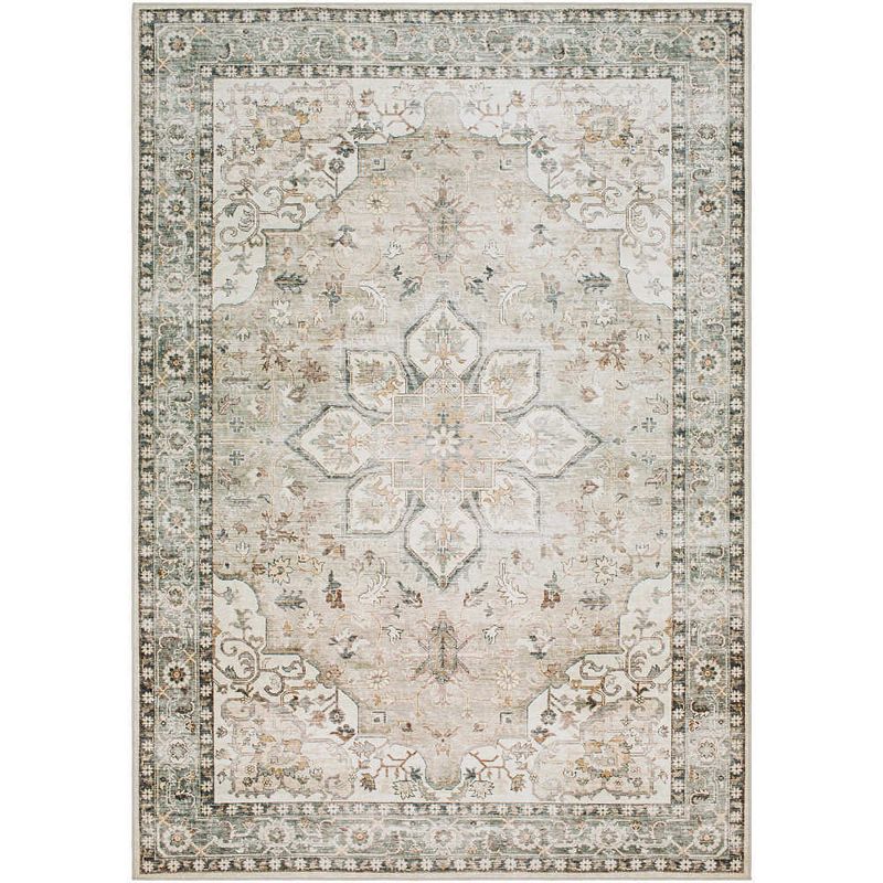 Chelcey Traditional Washable Area Rug