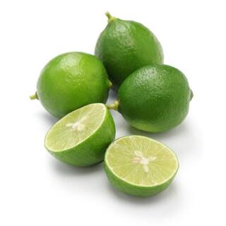 BELL NURSERY 1 Gal. Persian Lime (Bearss Lime) Live Tropical Tree with White Flower to Green Seedless Fruit (1-Pack) LIMET1BTL1PK