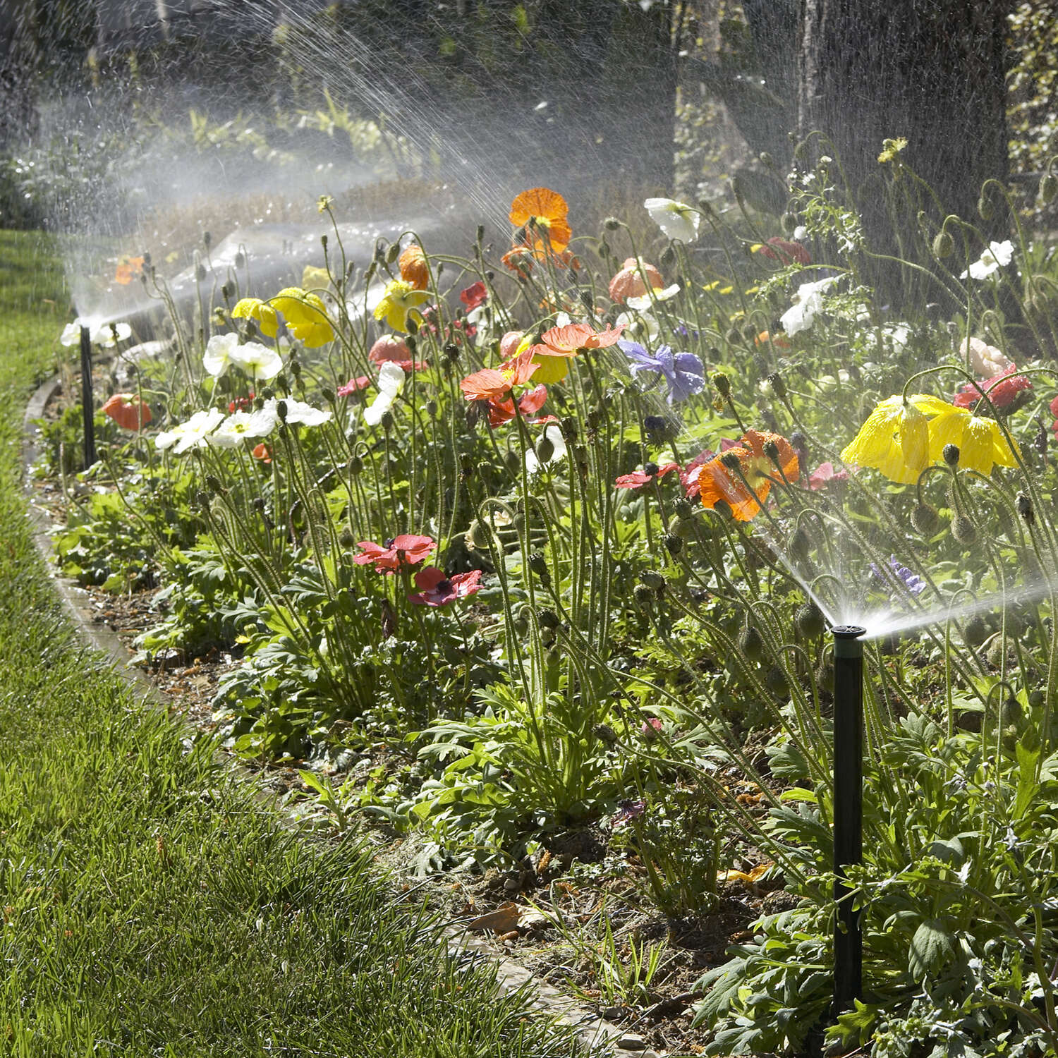 Hunter Pro-Spray 6 in. H Adjustable Pop-Up Sprinkler