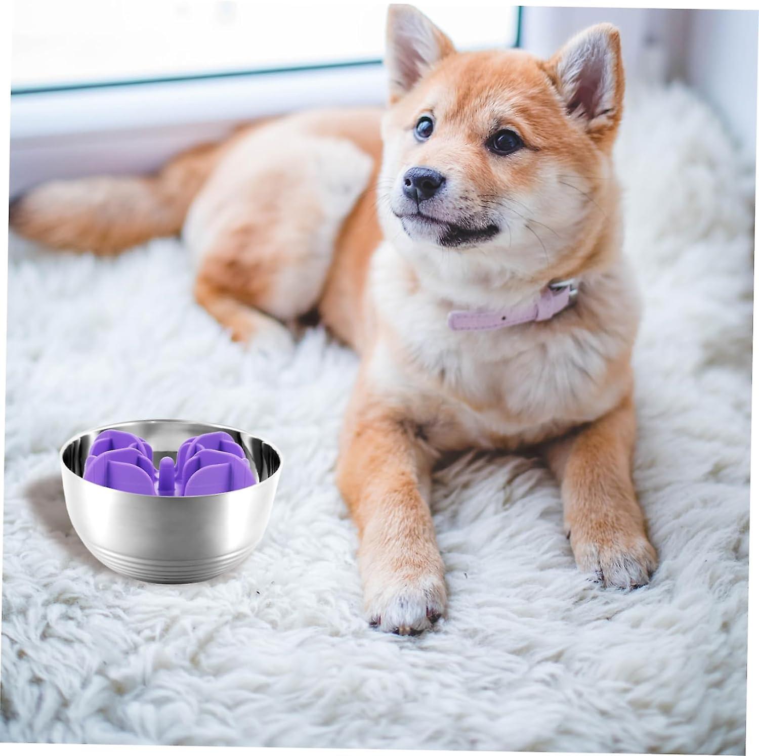 slow feeder slowing dog bowl dog accessories puppy bowls convenient pet food bowl slow feeding bowl