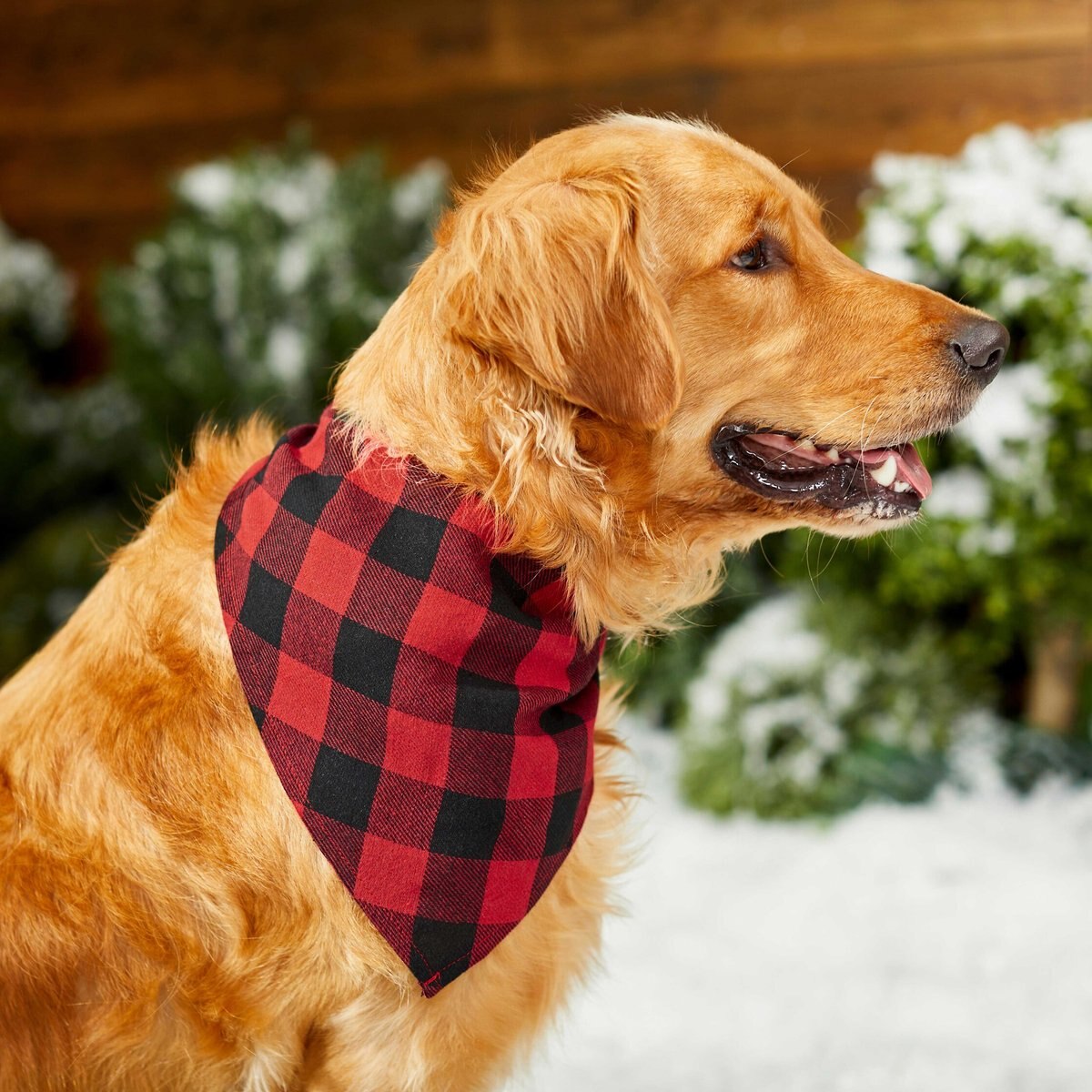 Red Buffalo Plaid Dog and Cat Bandana