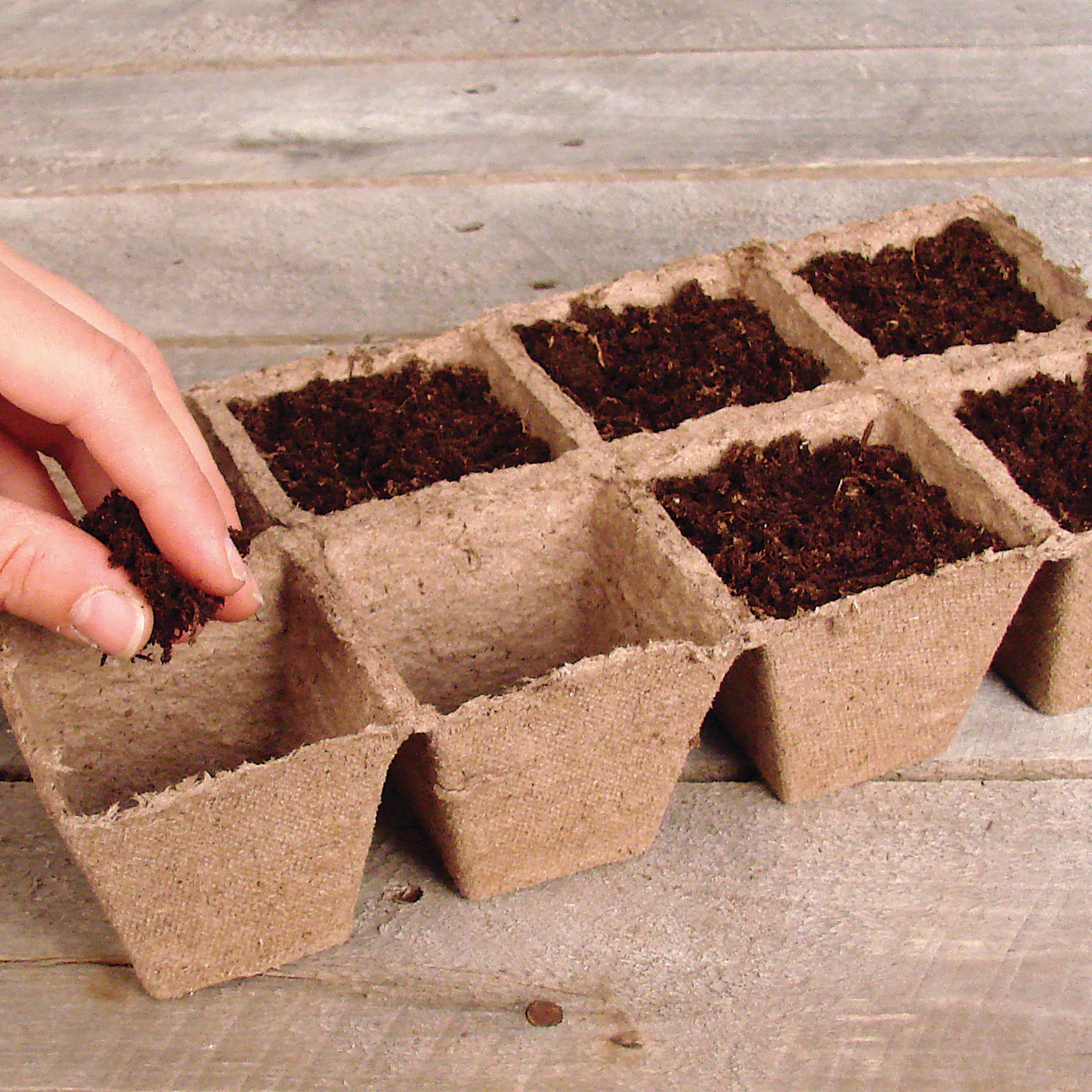 Jiffy Biodegradable Seed Starting Peat Strips， 4 Strips (32 Pots)