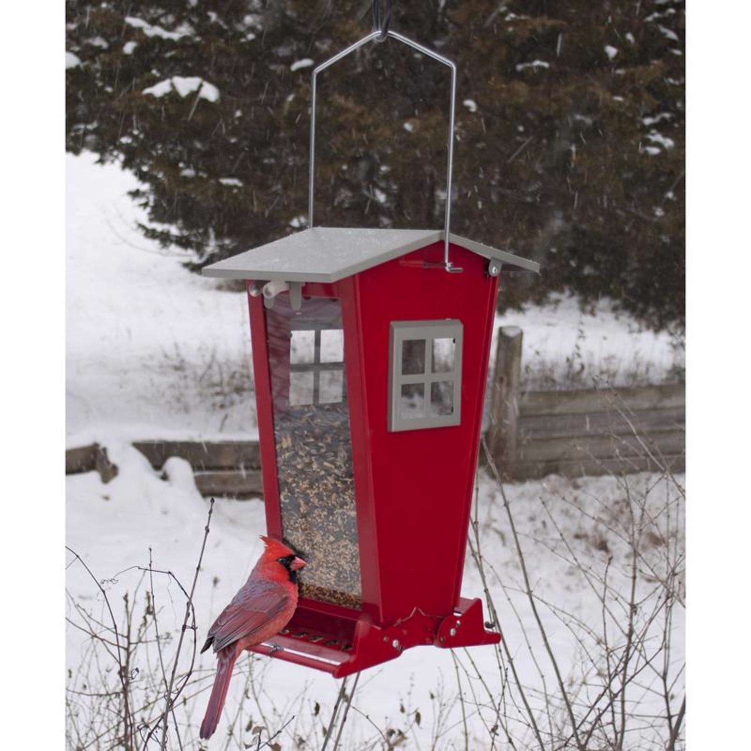 Audubon Snack Shack Wild Bird 7 lb Steel Squirrel-Resistant Bird Feeder 2 ports