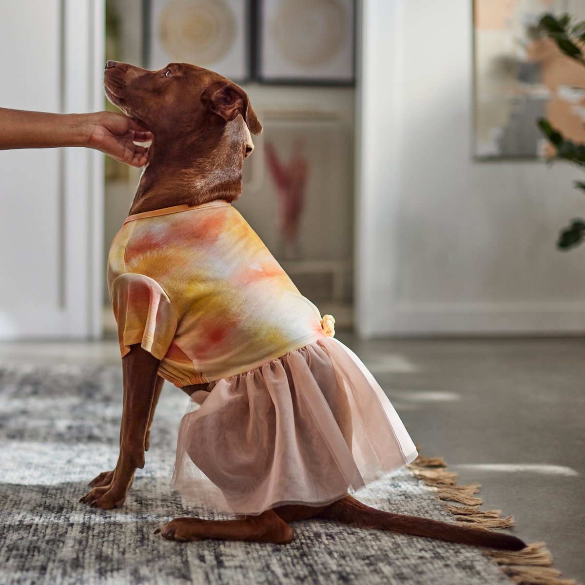 Frisco Tie Dye Pink Tutu Dog and Cat Dress