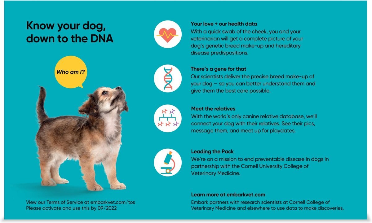 Embark Breed Identification and Health Condition Identification DNA Test for Dogs