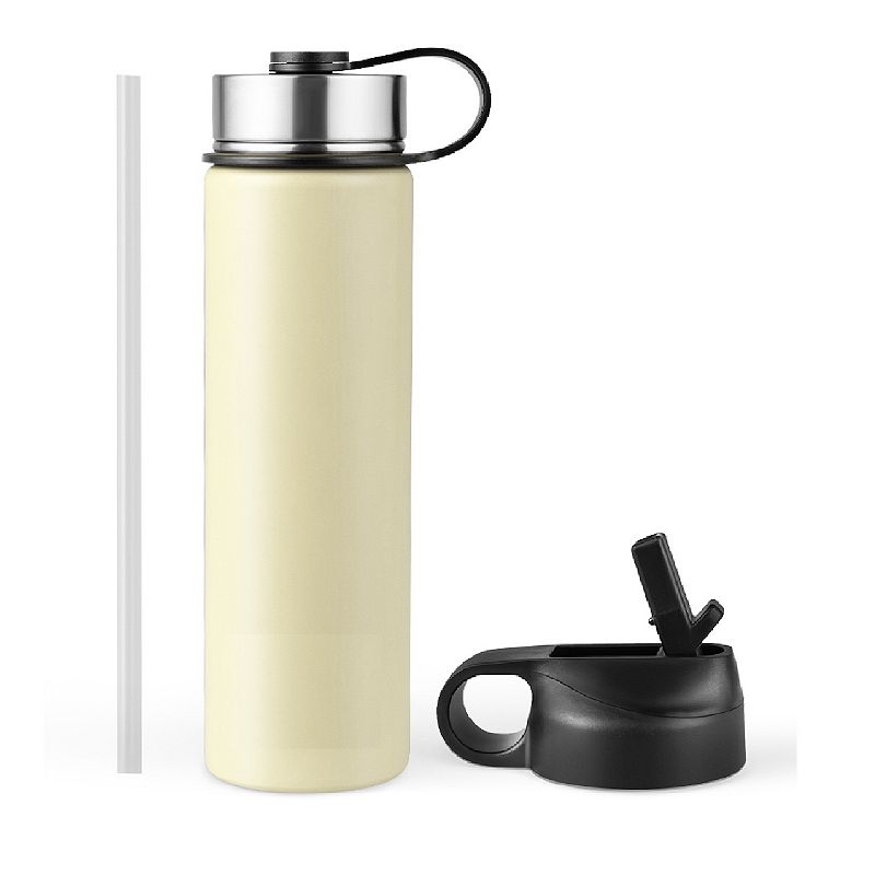 22 Oz Double-walled Insulated Stainless Steel Water Bottle with Straw Lid