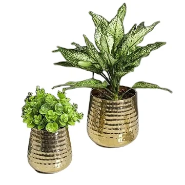 Farmhouse Customizable Design Decorative Gold Polished Metal Pot Planter Decoration Drawing Room Metal Planter