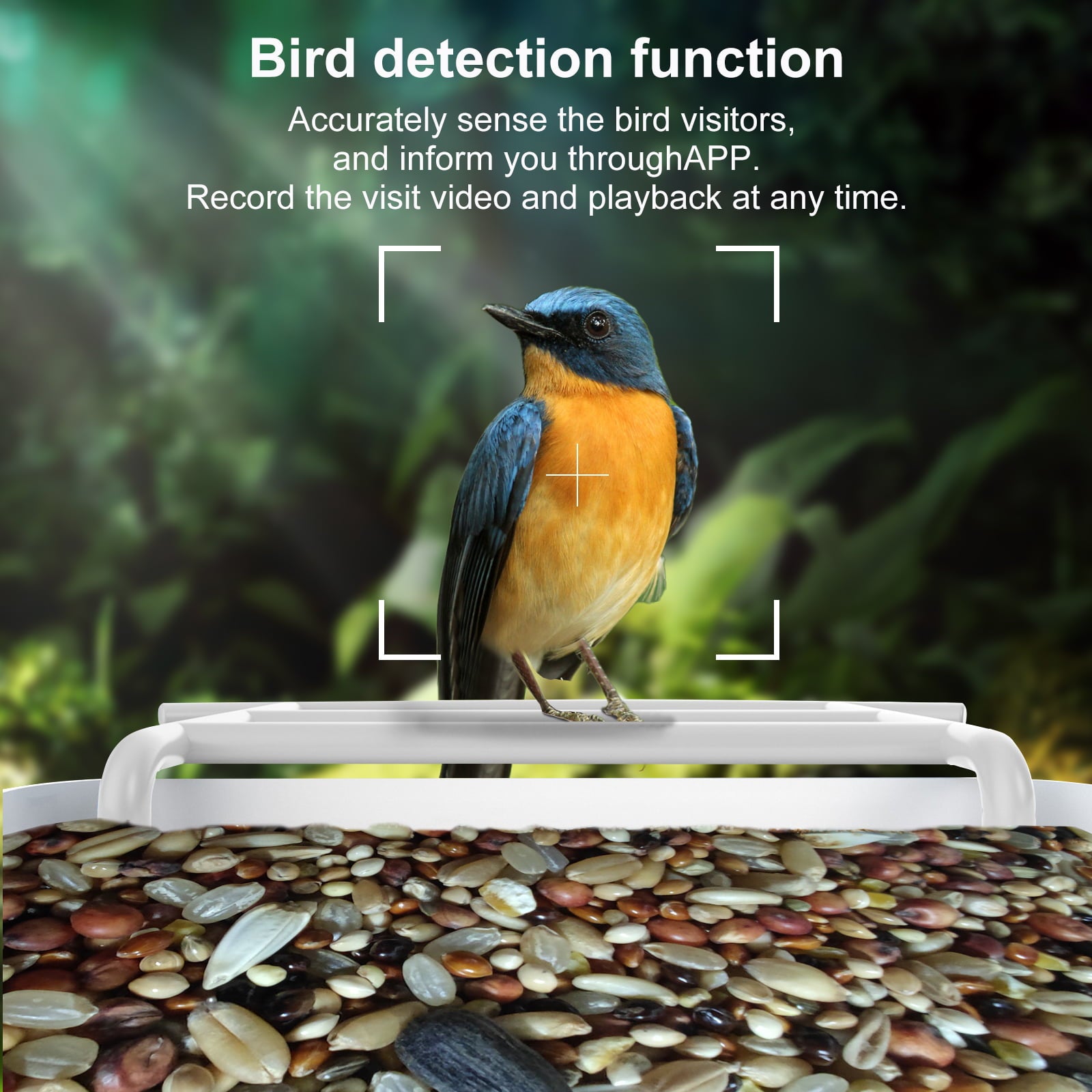 Smart Bird Feeder with Camera，Bird House，Birdsoulmate AI Smart Bird Feeder，Camera 1080P HD Video，WiFi Connection