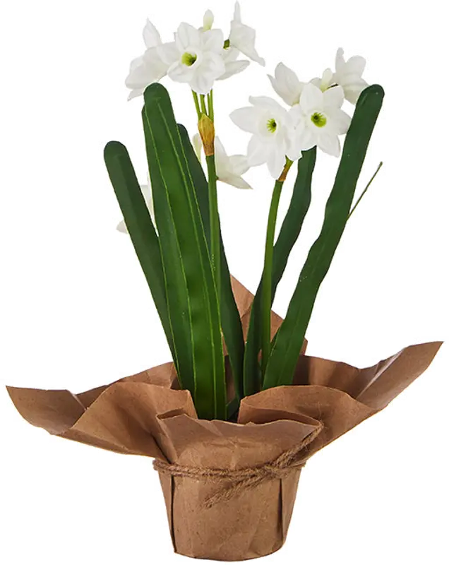 10 Inch Real Touch Potted Faux Paperwhites Arrangement