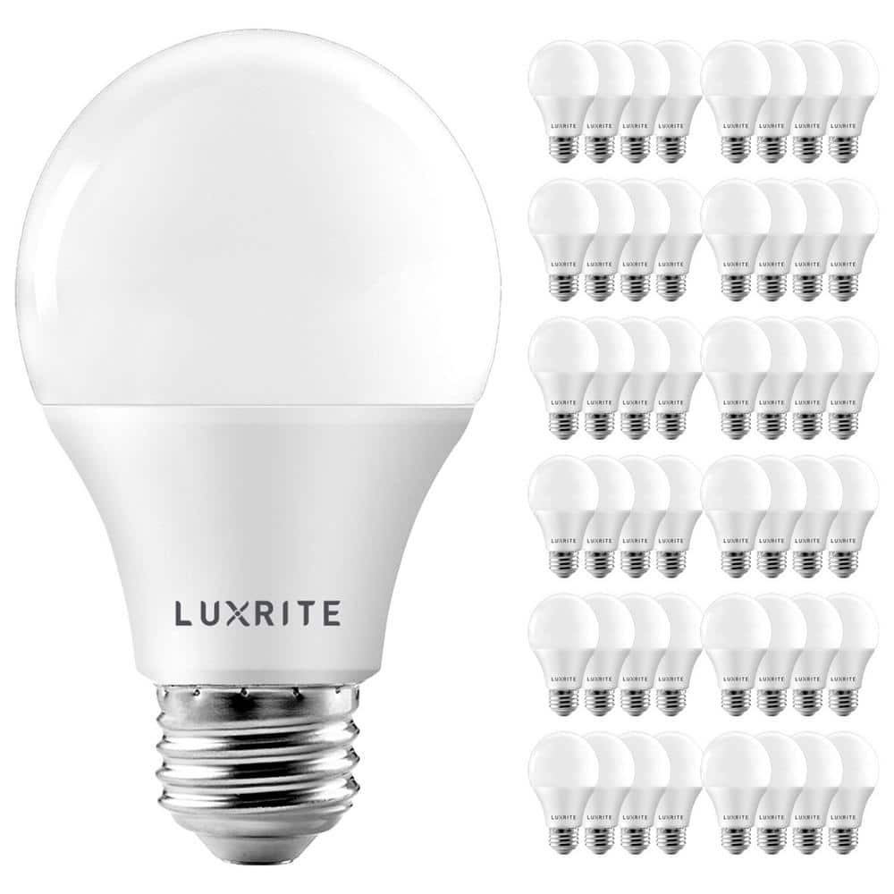 LUXRITE 60-Watt Equivalent A19 Dimmable LED Light Bulb Enclosed Fixture Rated 3000K Warm White (48-Pack) LR21421-48PK