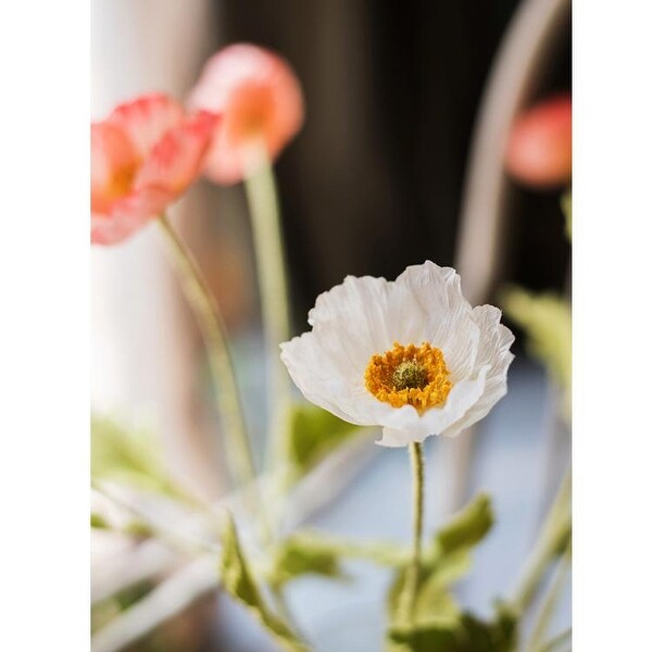 RusticReach Silk Common Poppy Flower Stem in Pink or White 22 Tall