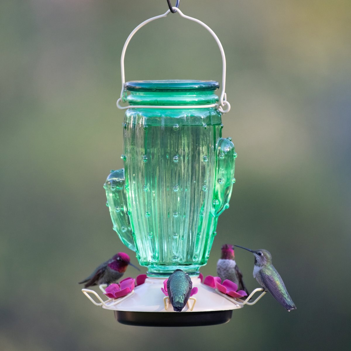 Perky-Pet Cactus Top-Fill Glass Hummingbird Feeder