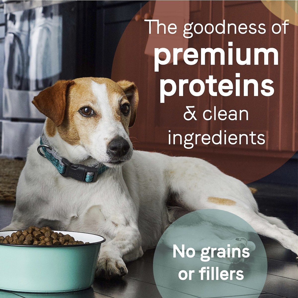 CANIDAE Grain-Free PURE Limited Ingredient Lamb， Goat and Venison Meals Recipe Dry Dog Food