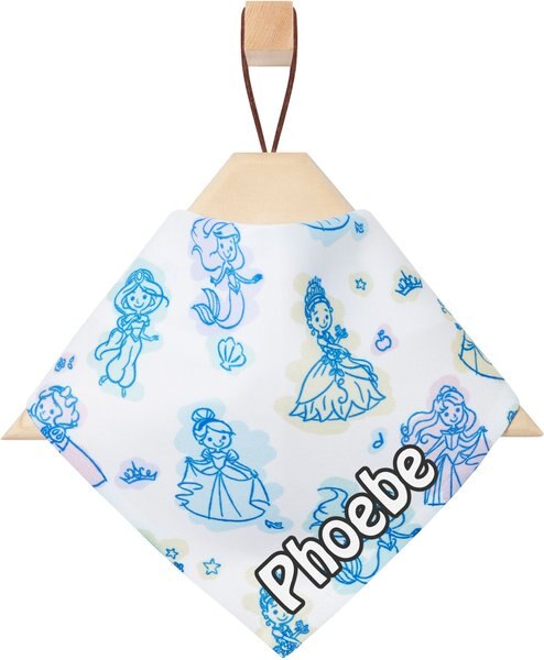 Disney Princesses Personalized Dog and Cat Bandana