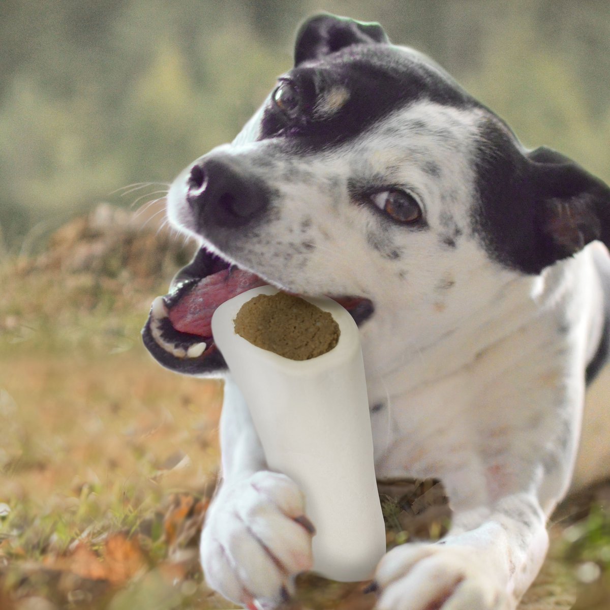 Cadet Peanut Butter Stuffed Shin Bone Dog Treat， Small， 3 count