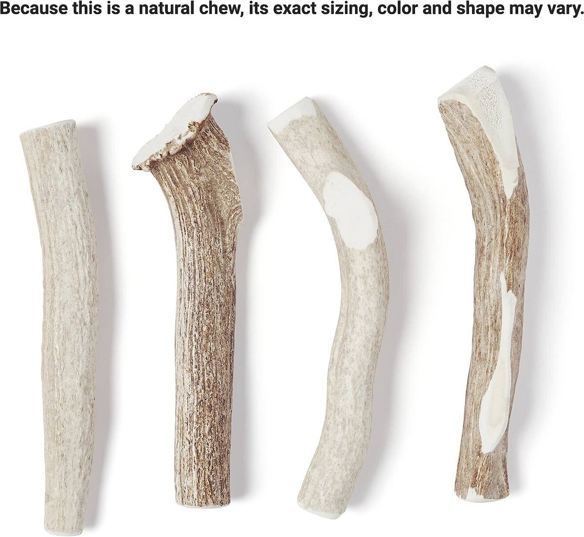 Bones and Chews Made in USA Deer Antler Dog Chew， 8.0 - 9.5-in Large