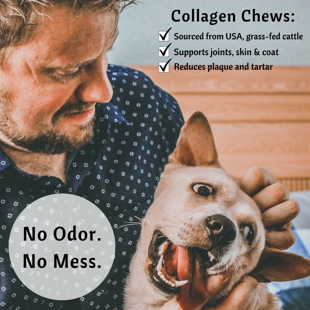 Exclusively Pet Collagen + Superfood Chews Blueberry Dog Dental Treats， 4-oz bag