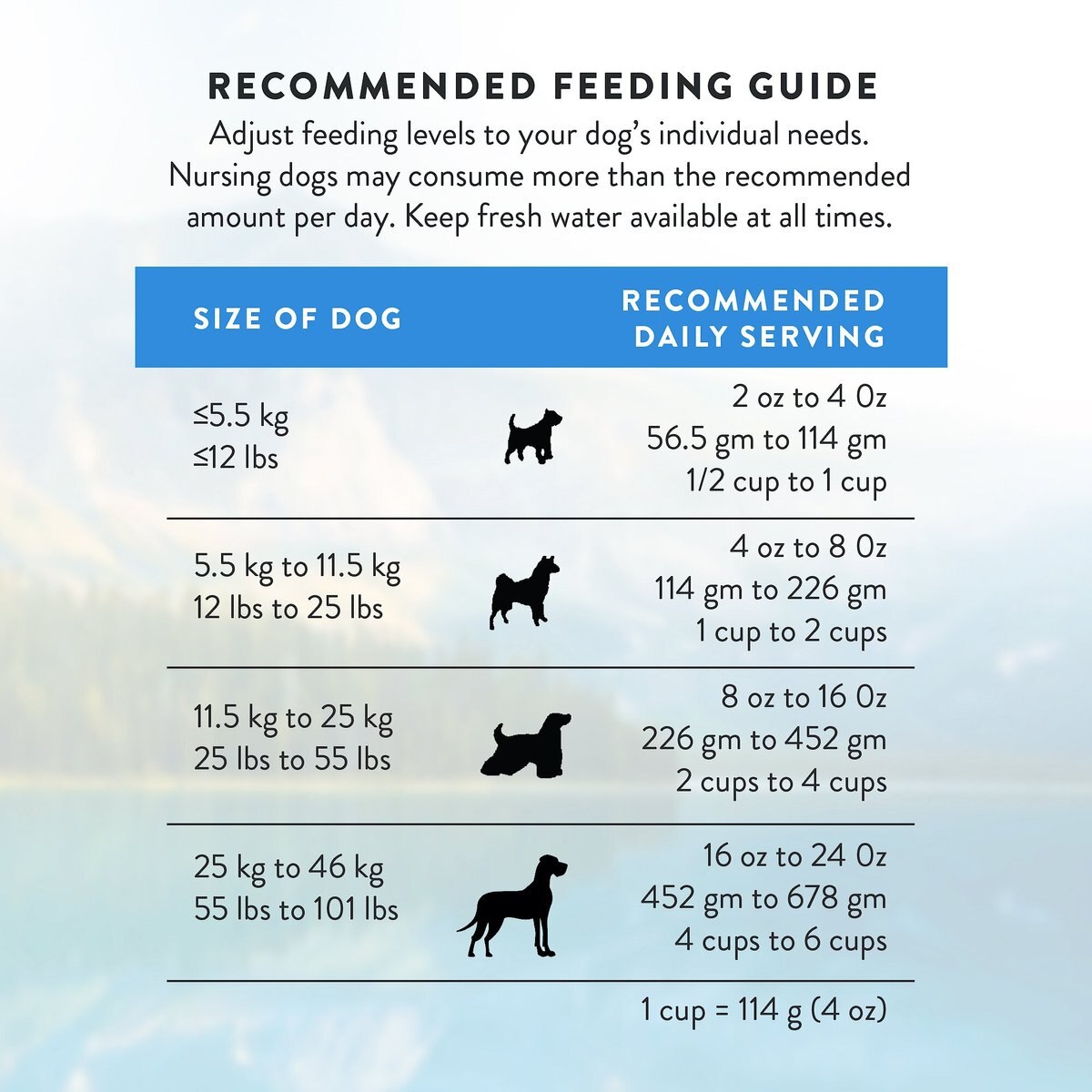 Addiction Grain-Free Salmon Bleu Dry Dog Food