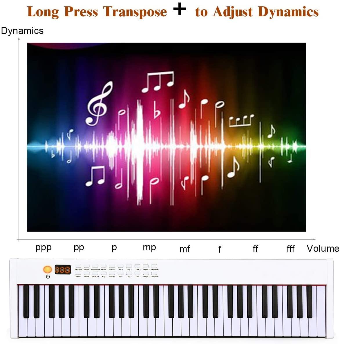 BX-II 61-Key Portable Digital Piano, Electric Keyboard